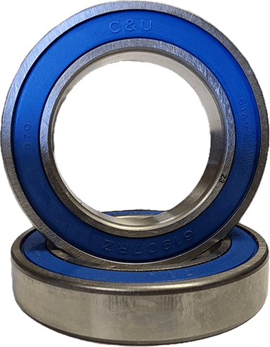 C&U (OEM) Stainless Ball Bearing Set - GTS/GT/XR/+/PINT/PINT X