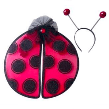 Lady Bug Headband and Wings Set