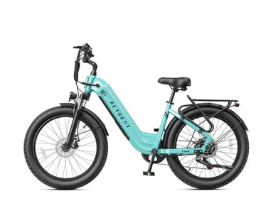 Cozy Wide Tire Step-Through Commuter Electric Bike