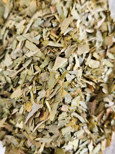 Gingko Biloba Leaf