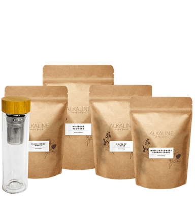 Immune Tea Bundle - Elderberries, Mullein Flowers, Hibiscus Flowers, Soursop Leaves, and Double Wall Tea Infuser 17oz