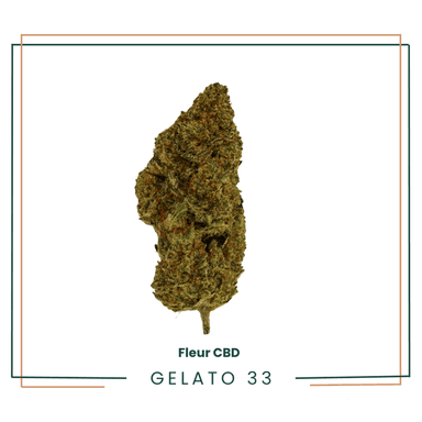 Gelato 33 - Fleur CBD