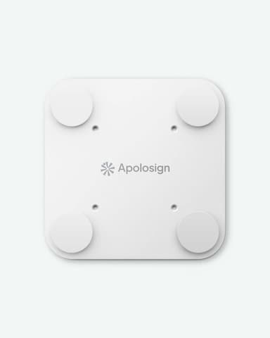 Calendar Magnetic Mount
