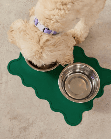 The Fritz Bowl Mat - Grass