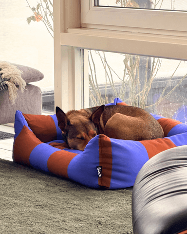 The Fritz Nest Bed