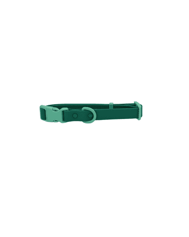 The Fritz Collar - Liberty Green