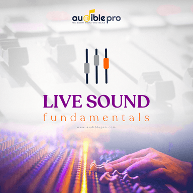 Live Sound Engineering Fundamentals | Sinhala Medium (Level 3 – Professional PA Systems & Industry Practices)