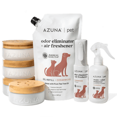 Pet Odor Eliminator & Stain Remover Premium Kit