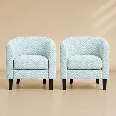 Highland Small Spaces Barrel Accent Chair (Set of 2)