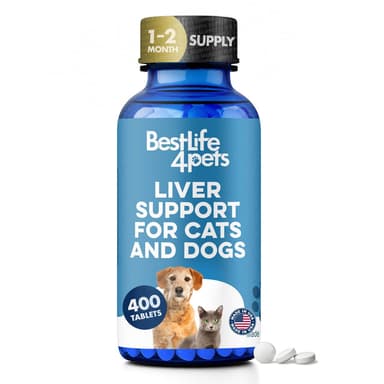 Liver Support for Cats and Dogs