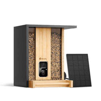 Birdfy Feeder Bamboo - Smart Bird Feeder with Eco-friendly Material