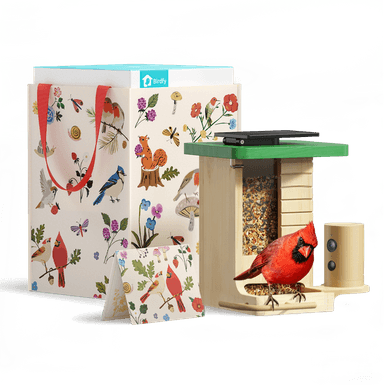 Birdfy Feeder Wood - Limited Gift Set | Smart Bird Feeder with Camera