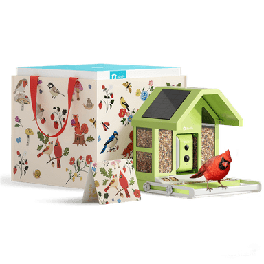 Birdfy Feeder Metal - Limited Gift Set | Smart Bird Feeder with Camera