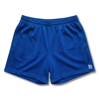 The Fender: Open Mesh 5" Basketball Shorts in Royal Blue - Made In USA