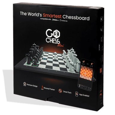 Particula GoChess Mini