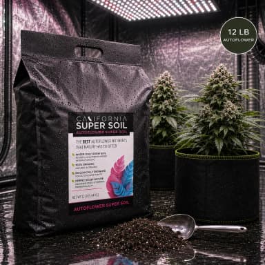 AutoFlower Super Soil 12lbs