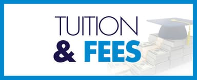 Access extension fee/Add on support fee (Termly)