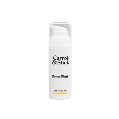 Power Plant
