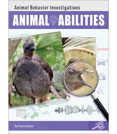 Animal Abilities Reader Grade 1-4 Paperback