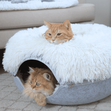 Cattasaurus™ Calming Donut - BOGO Free