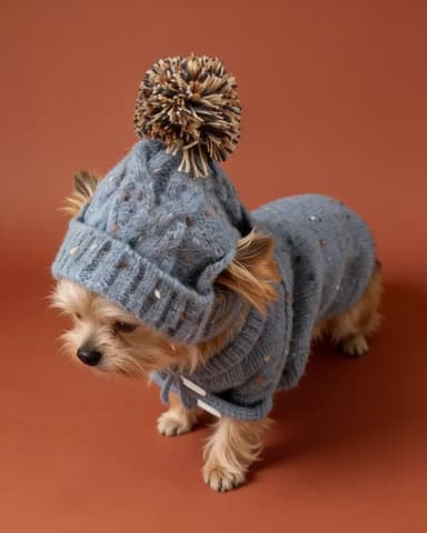 Dog Winter Sweater, Scarf and Beanie for Small Dogs & Cats
