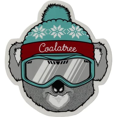 CT Ski Sticker - 5 Pack