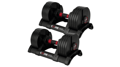 P90X Adjustable Dumbbell Set