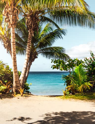 PLR: Day Trips in Puerto Rico