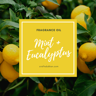 Mint + Eucalyptus - Candle Fragrance Oil