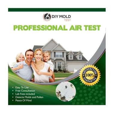 Professional Air Test