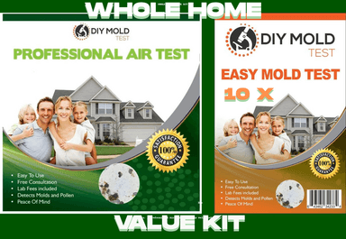Whole Home Value Kit 33 total Samples (3 air + 30 surface) Video Call with Expert