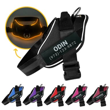Doggykingdom High Visibility LED Dog Harness for Night Walks