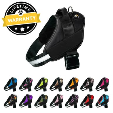 Doggykingdom Comfortable No Pull Harness for Daily Walks
