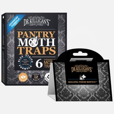 Grain Moth Trap (6 Pack) - Double Potent Pheromone & Glue Formula - Protect Food & Kitchens