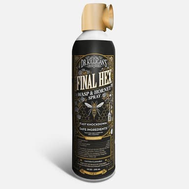 Final Hex: Wasp & Hornet Spray - Fast Knockdown - Reaches Up to 15 ft (10 oz)