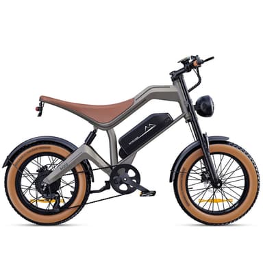 M20 All-Terrain Long-Range Electric Bike
