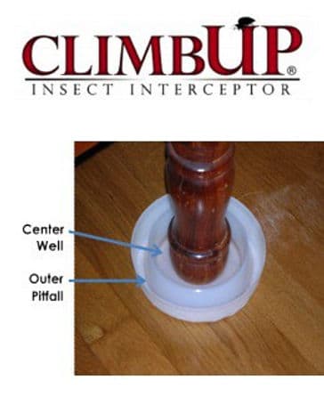 Bed Bug Interceptors