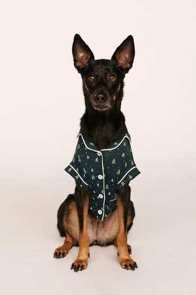 Gisele Printed TENCEL™ Modal Pet PJ