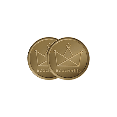 1000 EcoCredits - Flash Sale
