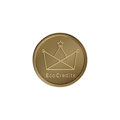 500 EcoCredits - Flash Sale