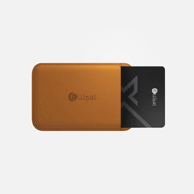 ELLIPAL X Card Case
