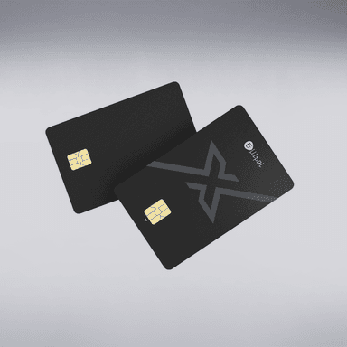 ELLIPAL X Card Duo (Backup)