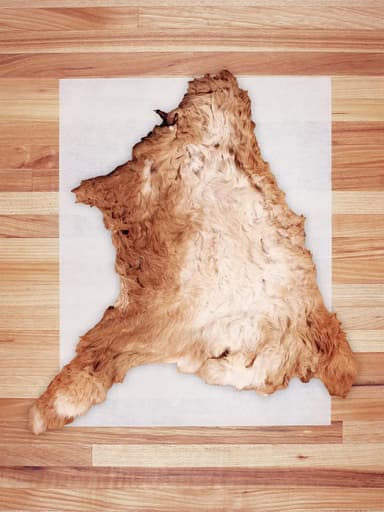 Whole Rabbit Hide (Hairy)