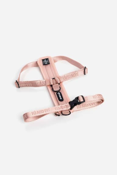Moxie Harness with Traditional Buckle