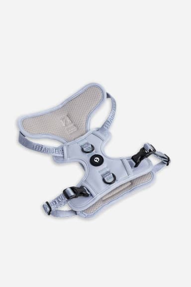 Cloud Harness with Traditional Buckles