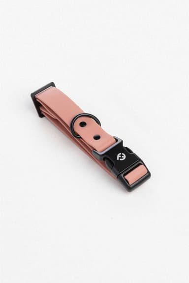 Vero Collar with Traditional Buckle