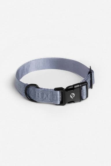 Classic Collar with Traditional Buckle