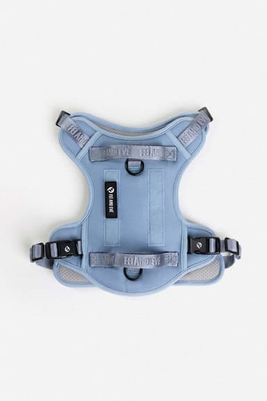 Classic Harness with Traditional Buckles