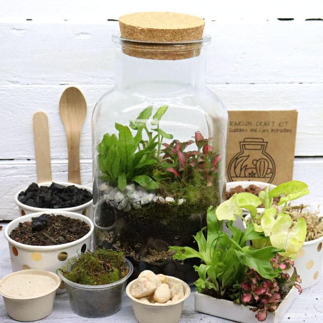 DIY Woodland Cork Terrarium Gift Set