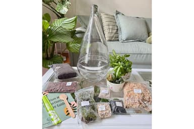 Fern Haven DIY Terrarium Kit